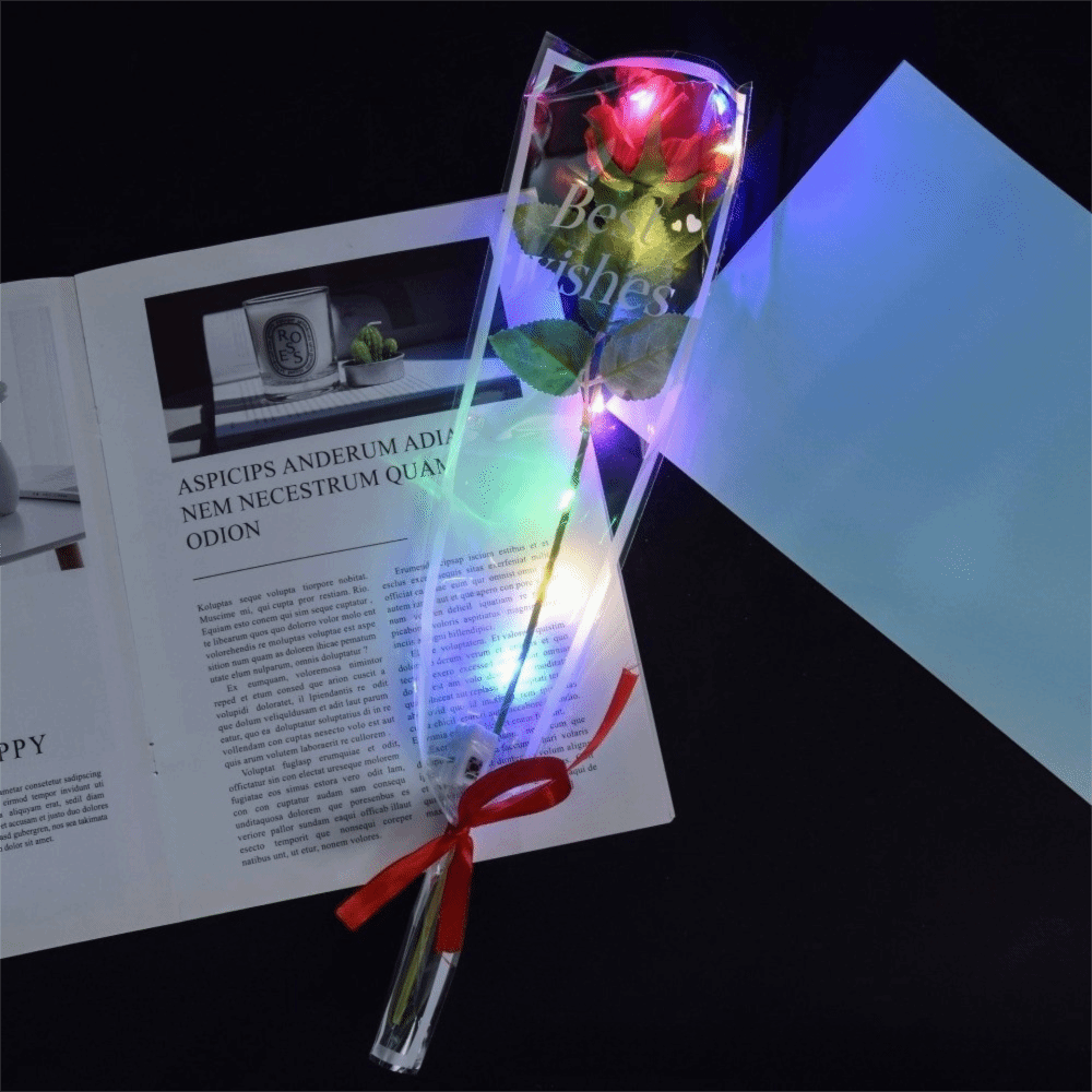 Photography Lighting Simulation - Glowing Artificial Rose Flower Colourful Photography