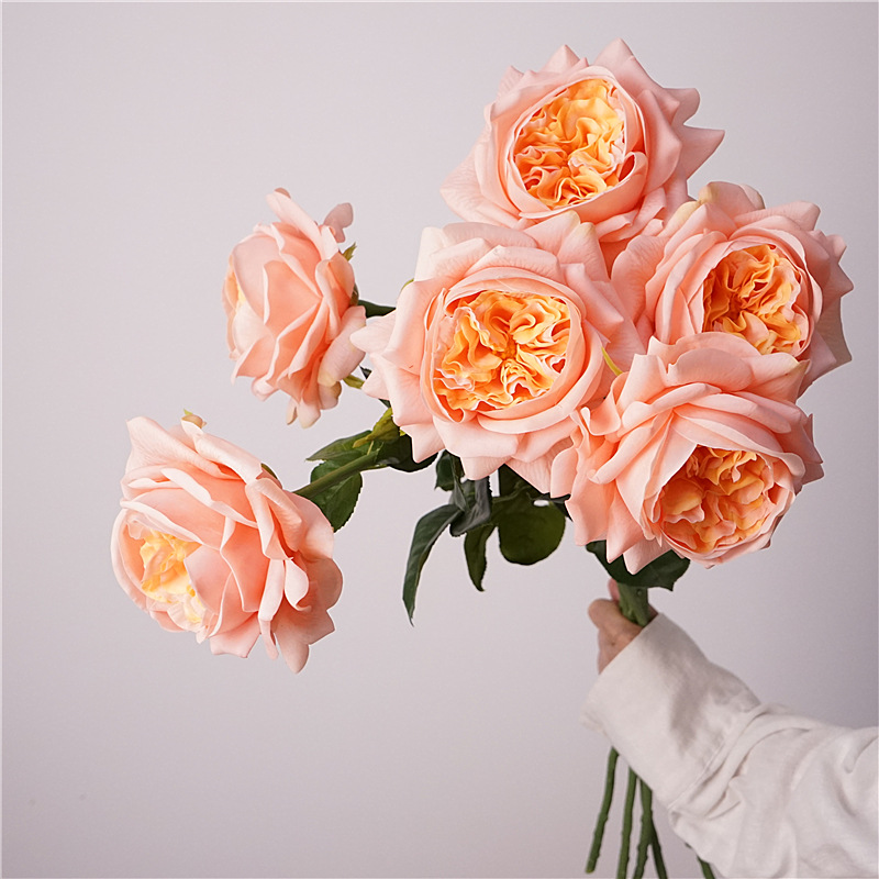 3pcs Moisturizing Rose Simulat - Photography Lighting Simulation avis et prix