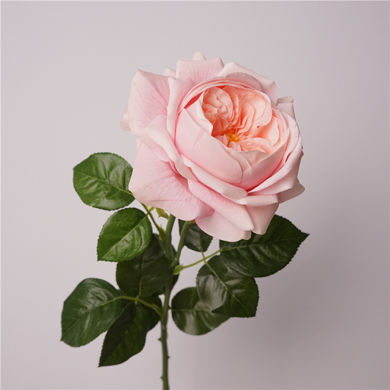 3pcs Moisturizing Rose Simulat - Photography Lighting Simulation avis et prix