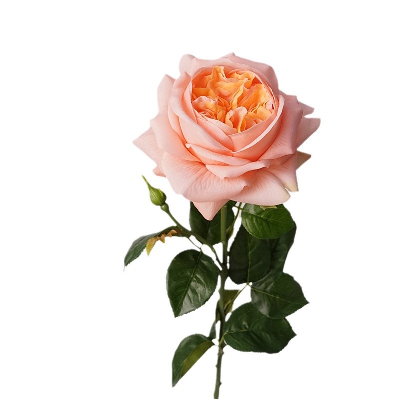 3pcs Moisturizing Rose Simulat - Photography Lighting Simulation avis et prix