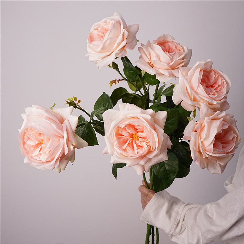 3pcs Moisturizing Rose Simulat - Photography Lighting Simulation avis et prix