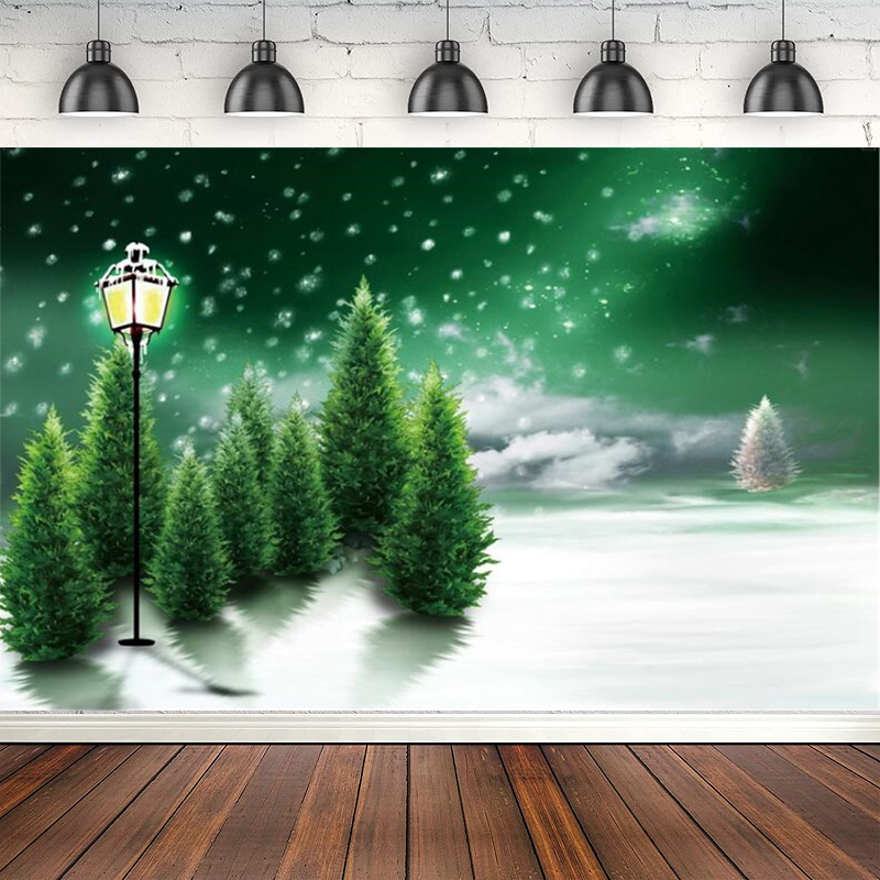 Photography Backdrop Winter Sn - Photography Lighting White Background avis et prix