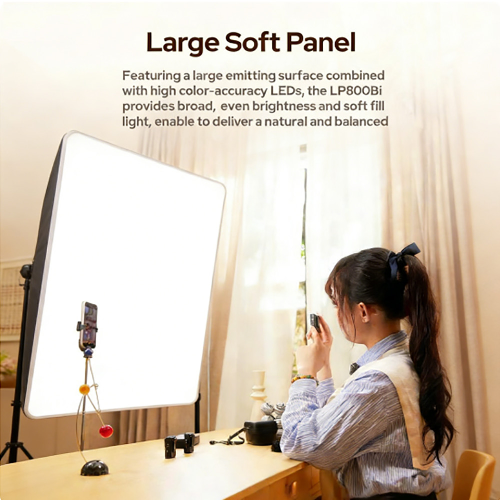 Godox LP800Bi LITEMONS Bi-Colo - Photography Lighting Board avis et prix