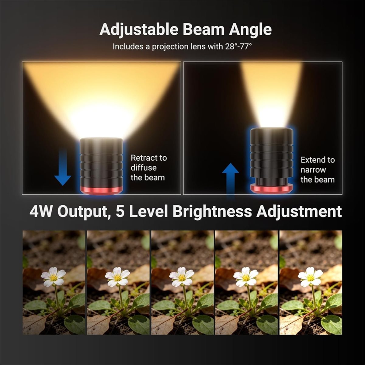 M05K LED Light for Macro Photo - Photography Lighting Angles avis et prix