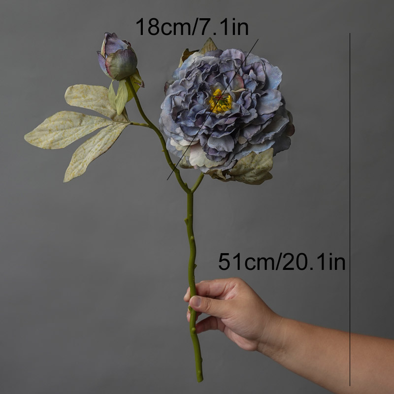 1PC Light Luxury 2 Head Big Pe - Photography Lighting Simulation avis et prix