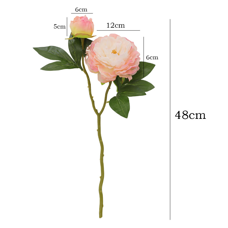 1PC Retro 2 Head Peony Simulat - Photography Lighting Simulation avis et prix