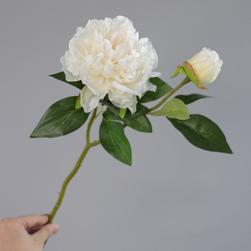 1PC Retro 2 Head Peony Simulat - Photography Lighting Simulation avis et prix