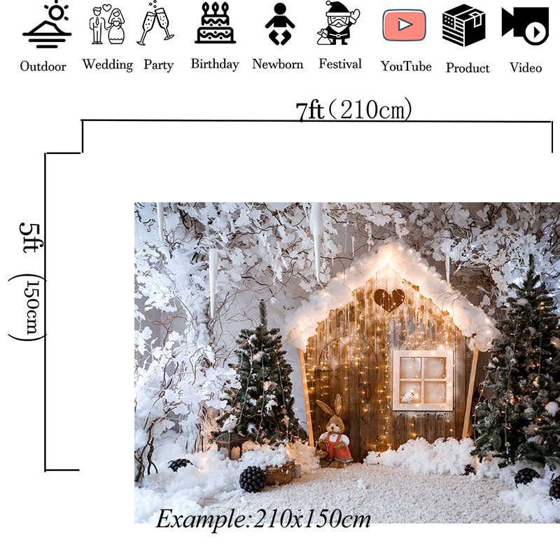 Mocsicka Winter Christmas Cele - Photography Lighting White Background avis et prix