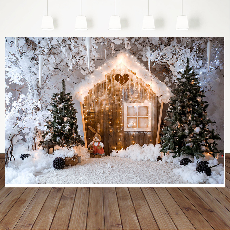 Mocsicka Winter Christmas Cele - Photography Lighting White Background avis et prix