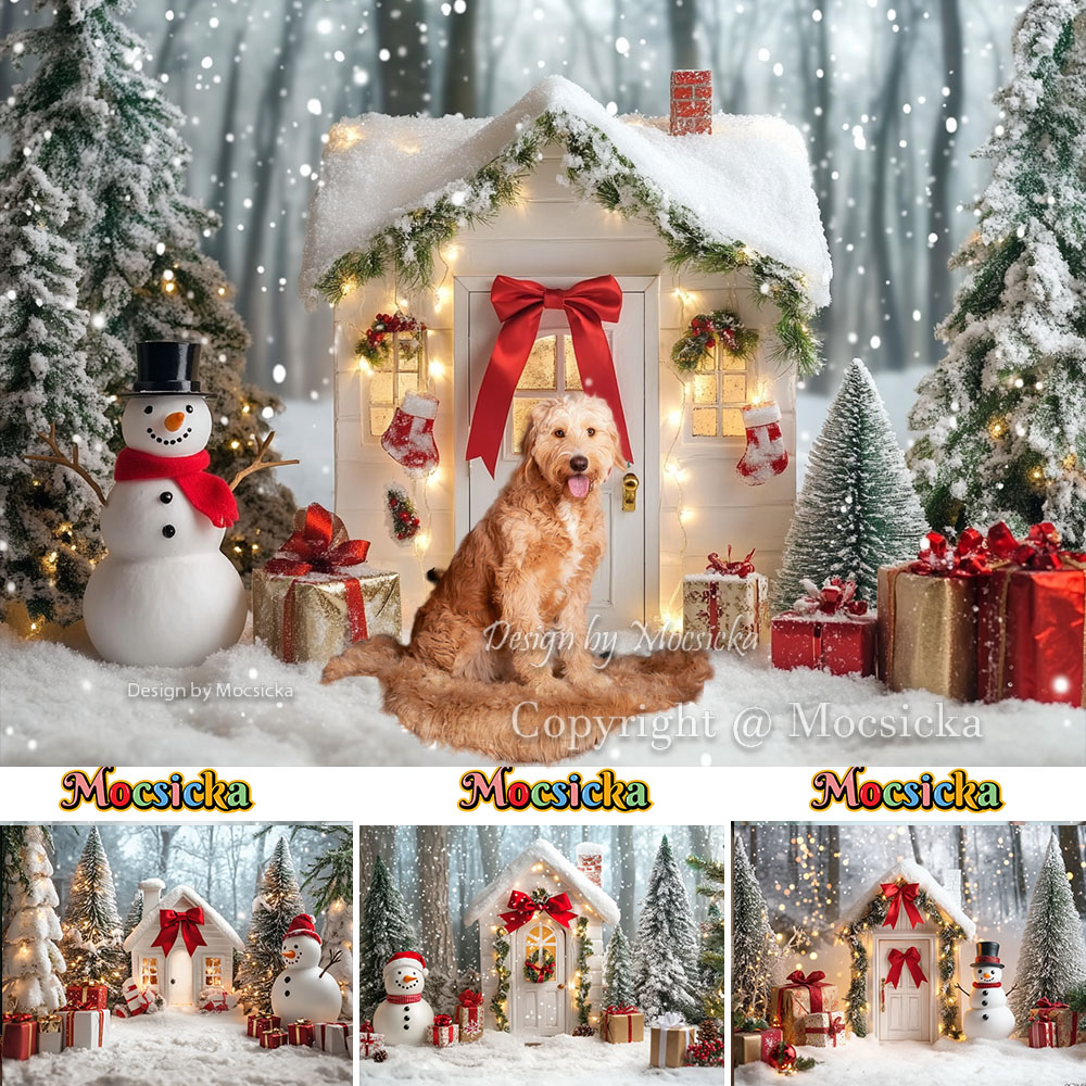 Mocsicka White Christmas House - Photography Lighting White Background avis et prix