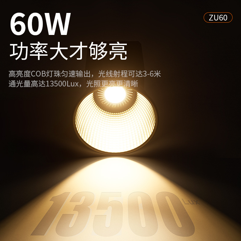 60W Portable Outdoor Shooting  - Lighting Effect In Photography avis et prix